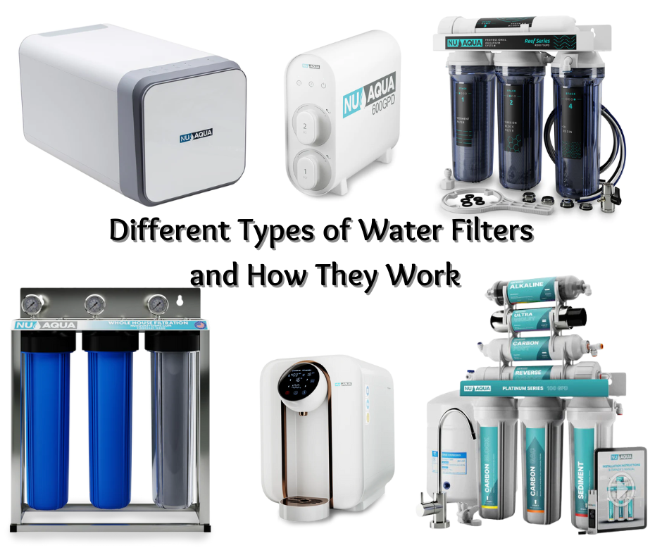 Exploring Types of Water Filters