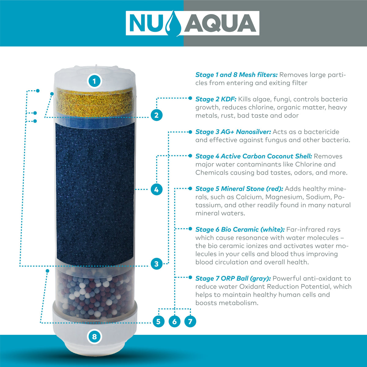AQUA 9+ Alkaline Water Purifier, Home Reverse Osmosis Filtration, Safe  Drinking Water