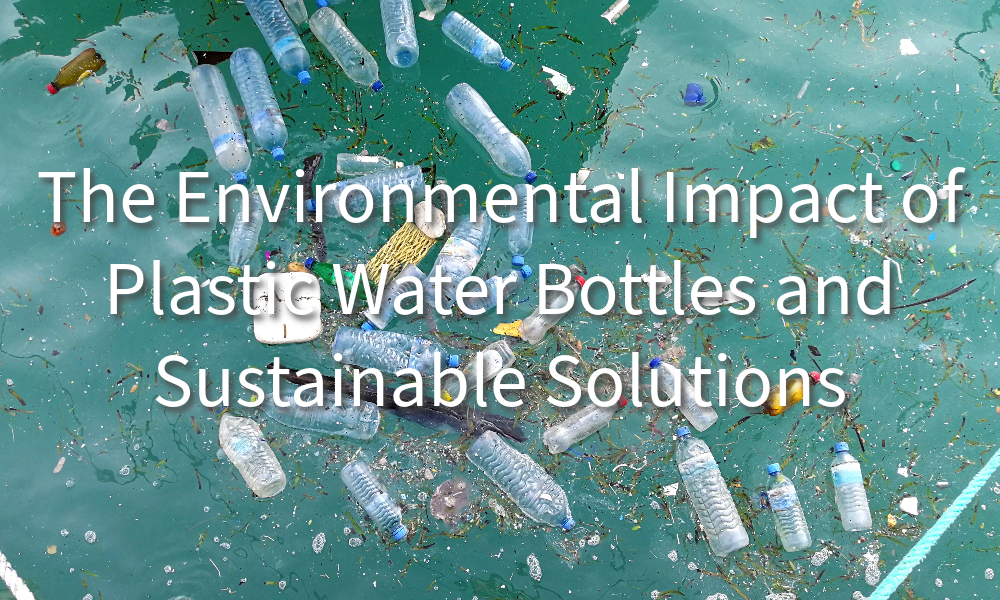 Environmental Impact of Plastic Bottles Solutions and Action