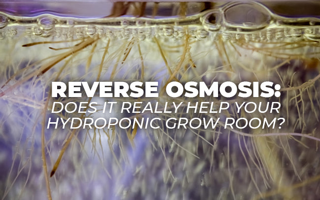 Reverse Osmosis: Does it really help your hydroponic grow room?