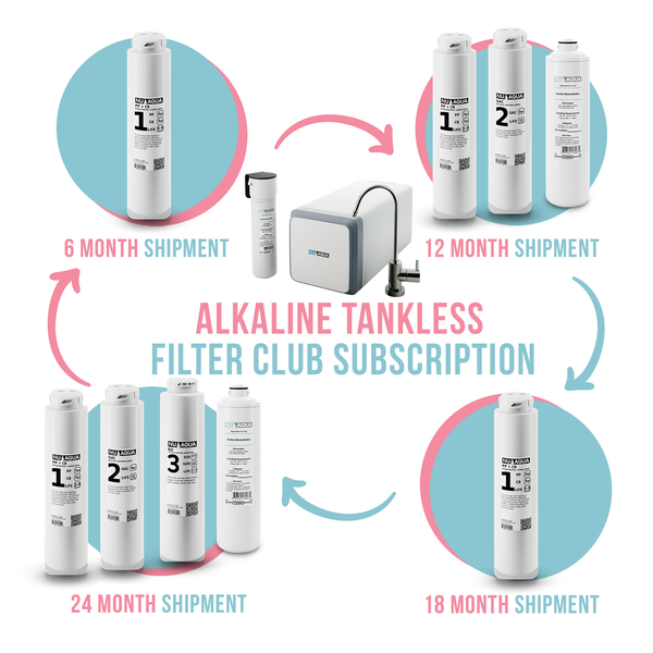 800GPD Alkaline Tankless Filter Club Subscription