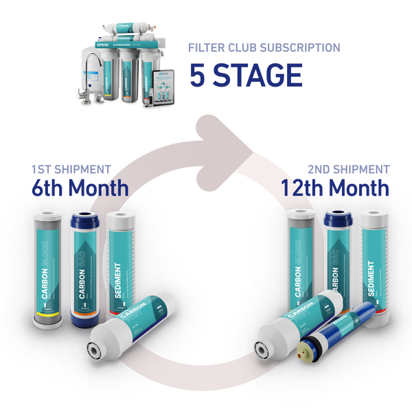 5 Stage Subscription (Delivered Every 6 Months)