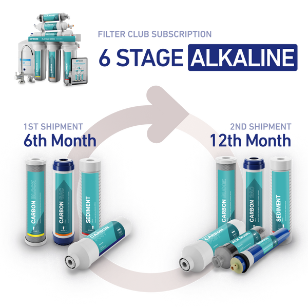 6 Stage Alkaline Subscription (Delivered Every 6 Months)