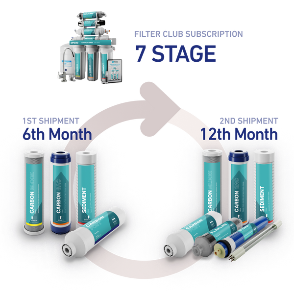 7 Stage Subscription (Delivered Every 6 Months)